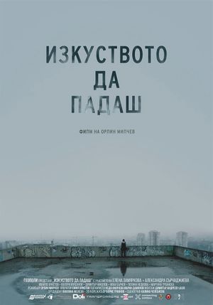 The Art of Falling's poster