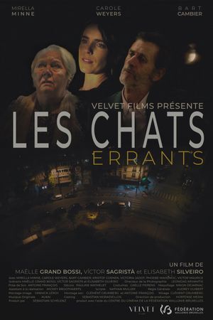 The Alley Cats's poster