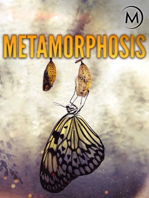 Metamorphosis's poster