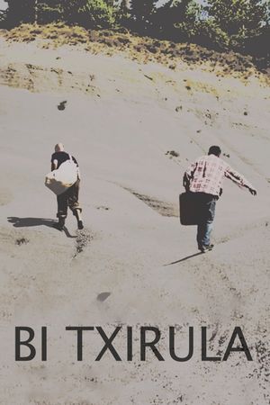 Bi txirula's poster