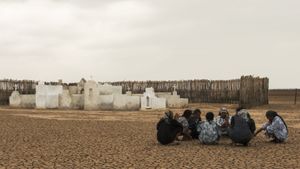 Birds of Passage's poster