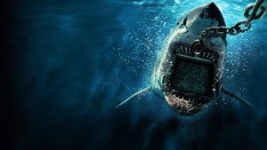 6000-LB. Shark's poster