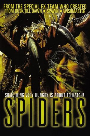 Spiders's poster