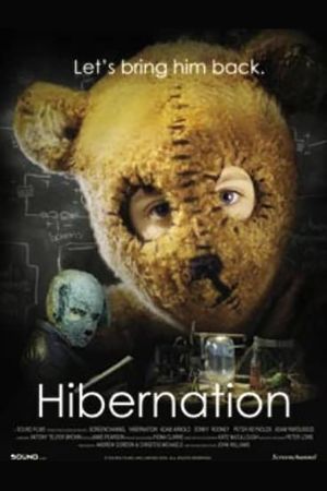 Hibernation's poster