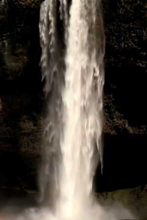 Into Water’s Vibration's poster