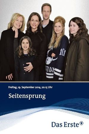 Seitensprung's poster
