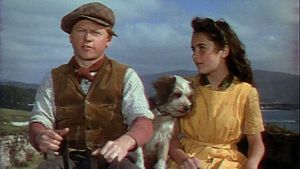 National Velvet's poster