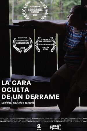 La cara oculta de un derrame's poster