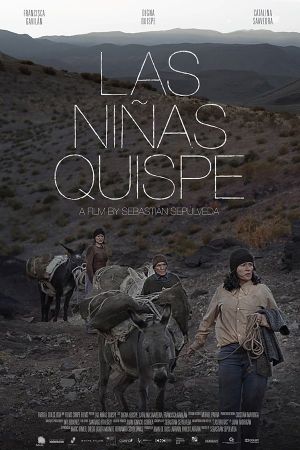 The Quispe Girls's poster
