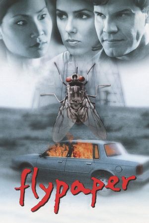 Flypaper's poster