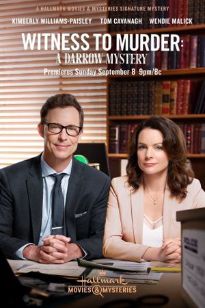 Darrow & Darrow: Witness to Murder's poster
