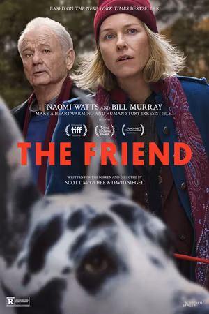 The Friend's poster