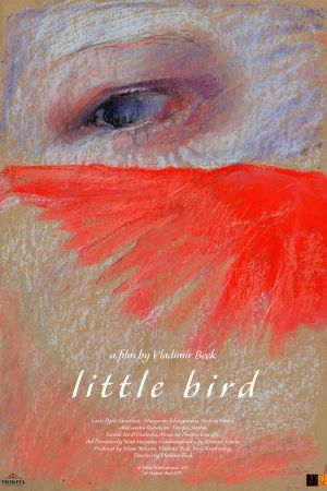 Little Bird's poster