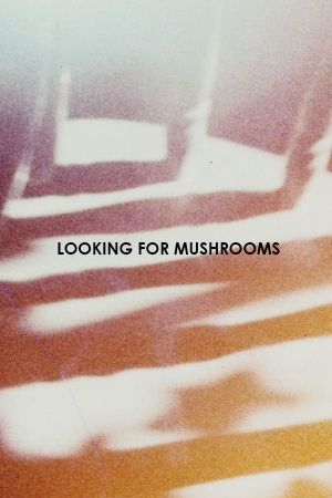 Looking for Mushrooms's poster