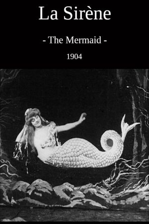 The Mermaid's poster