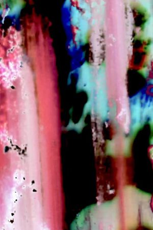 Kitchen Sink Film's poster