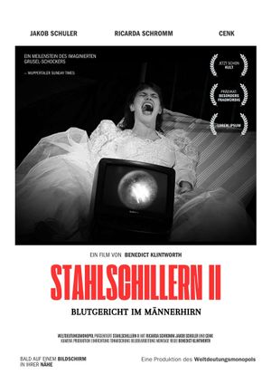 Stahlschillern II - Blutgericht im Männerhirn's poster image