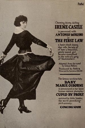 The First Law's poster