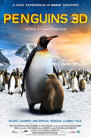 The Penguin King's poster