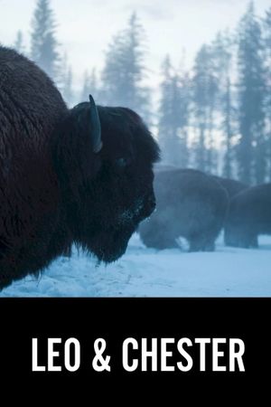 Leo & Chester's poster