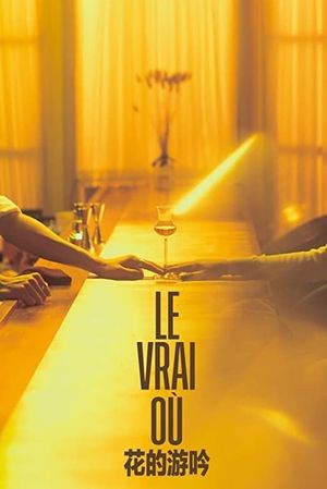 Le Vrai Où's poster