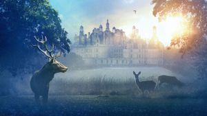 Chambord's poster