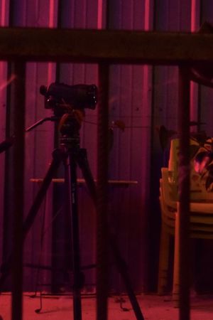 Life Of A Camera's poster