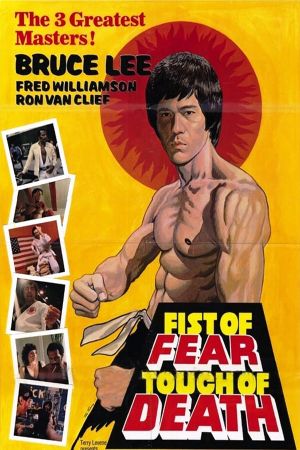 Fist of Fear, Touch of Death's poster