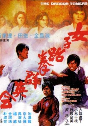 The Dragon Tamers's poster