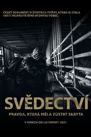 Svědectví: Pravda, která měla zůstat skryta's poster