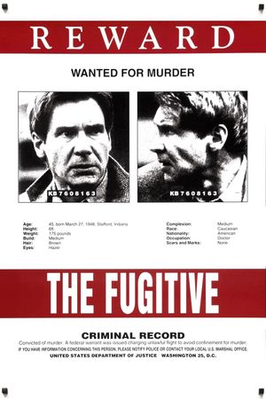 The Fugitive's poster