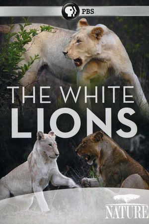 The White Lions's poster