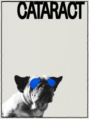 Cataract's poster