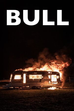 Bull's poster