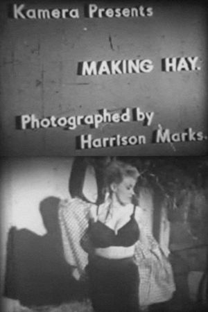 Making Hay's poster