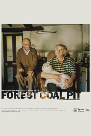 Forest Coal Pit's poster