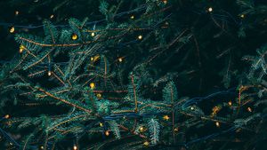 Christmas Lights's poster