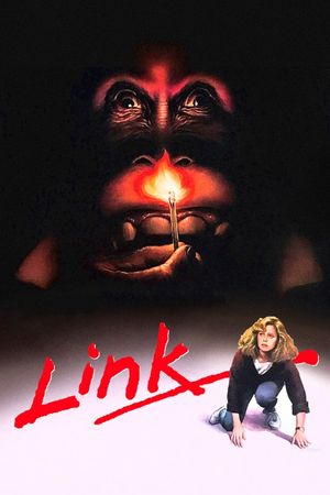 Link's poster