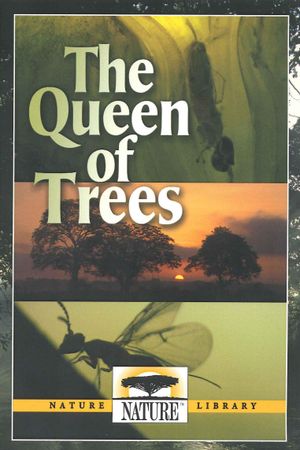 The Queen of Trees's poster