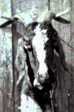 Slipknot: Goat - The 10th Anniversary of Iowa's poster