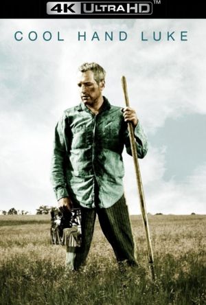 Cool Hand Luke's poster
