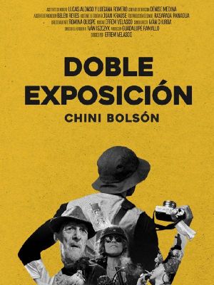 Double Exposure's poster