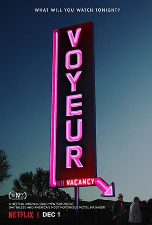 Voyeur's poster