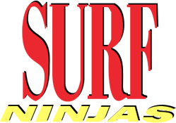 Surf Ninjas's poster