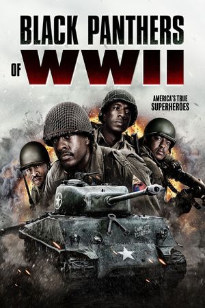 Black Panthers of WWII's poster
