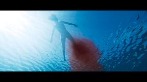 Something in the Water's poster
