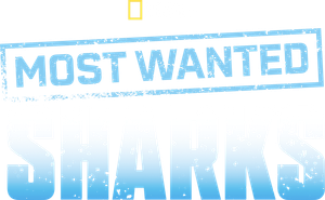Most Wanted Sharks's poster