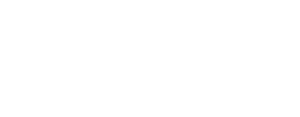 Formula 51's poster