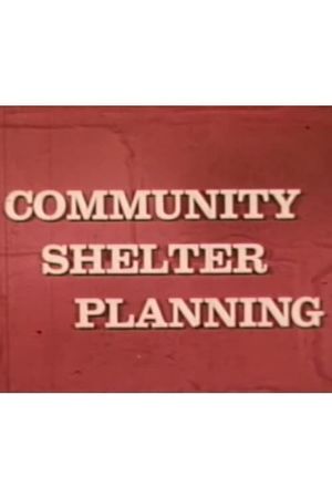 Community Shelter Planning's poster