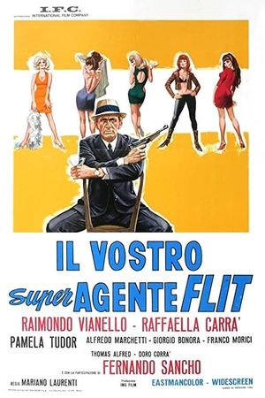 Il vostro super agente Flit's poster